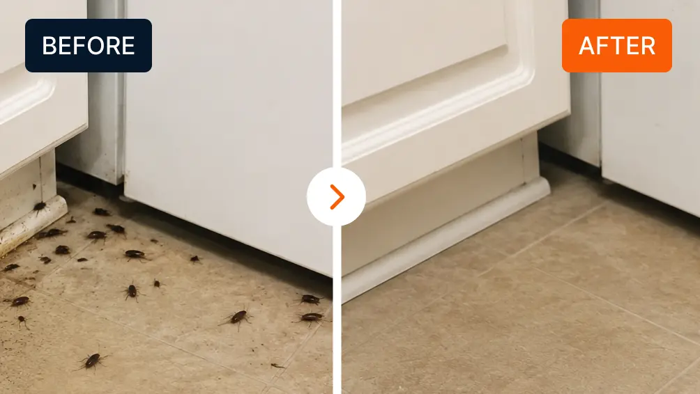 Pest control